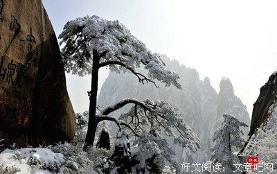 不袅名言