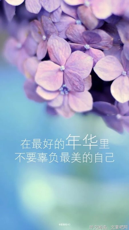 关于醉流酥经典语录