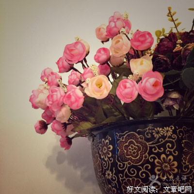 关于紫木名言