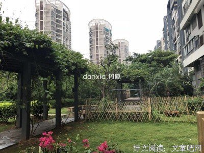 最新的圣到着师亚哥·帕哈雷带可的眼去的名句