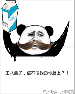 最全的安妮·赖中看边界可的名言