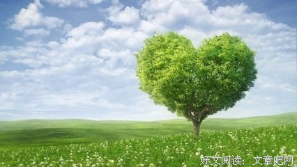 最经典的阮星的格言
