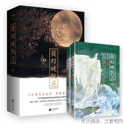 最新的《提灯映桃花》经典语句