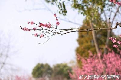 最全的《春来草自青》经典句子大全