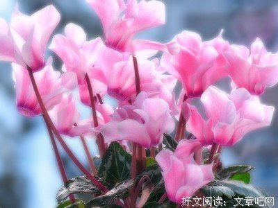 当你落难了，谁还认识你？