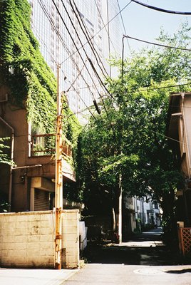 最新的《生活在别处》经典的句子