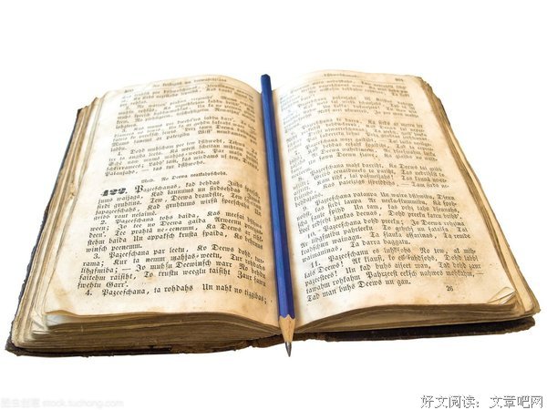 《真实的信仰》名句欣赏