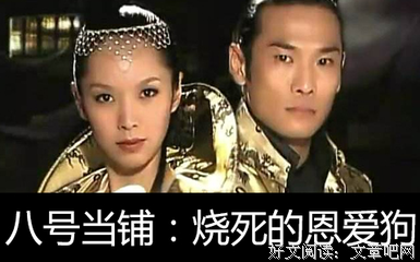 最经典的《第八号当铺》好段摘抄大全