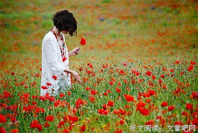 最全的《美丽新世界》佳句摘抄