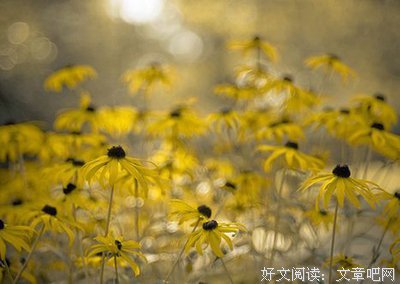 最新的《腾空的日子》好段摘抄