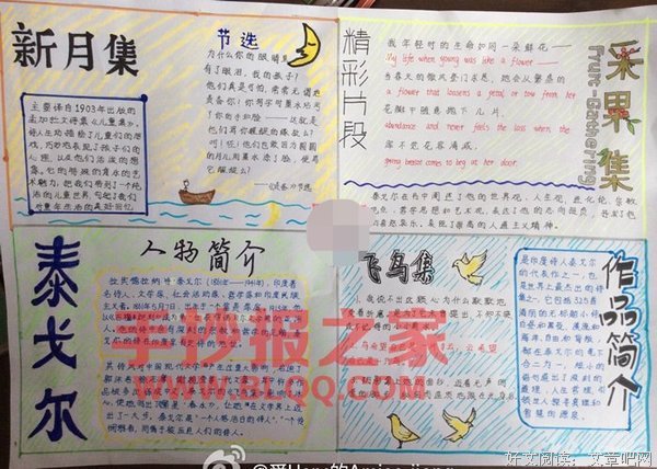 最全的《野性的呼唤》好段摘抄大全