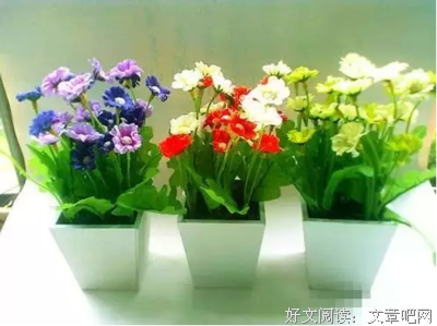 时间那么贵，留给相处不累的人