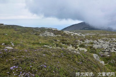 最全的《佛，空性之心》经典的句子