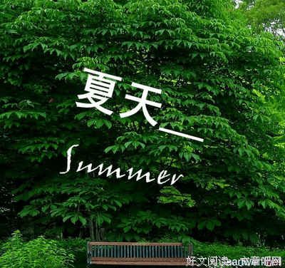 最经典的《你看，我的心》好段摘抄大全