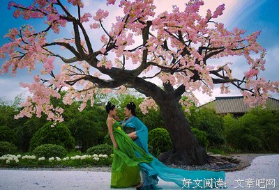 最经典的《太子妃升职记》小说摘抄大全