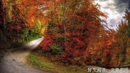 最经典的《如果止于拥抱》名句欣赏大全