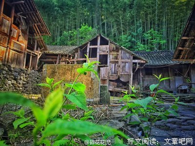 最新的《宁静的最远处》经典的句子