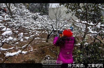 轻读 | 你要试图找到工作的乐趣