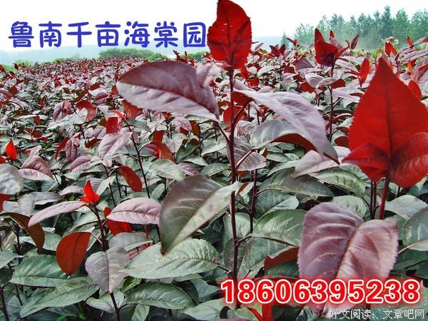 关于道格名言名句