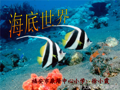 关于爬行动物的名言