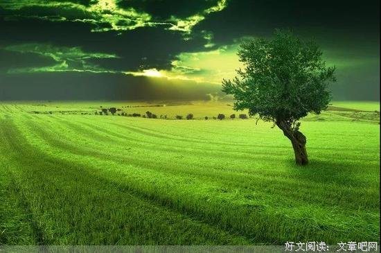 前三组3怎么玩的呢