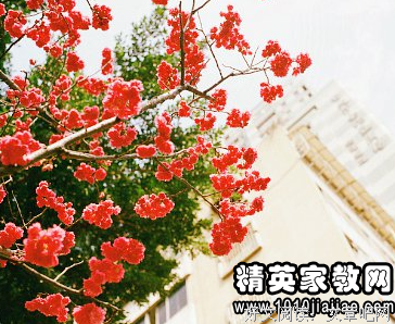 关于富裕名言名句