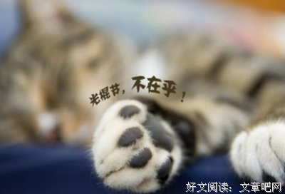 描写小森的经典句子