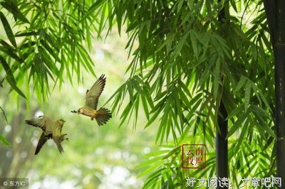 我喜欢的名句欣赏