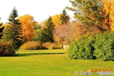 一颗不甘的心句子大全