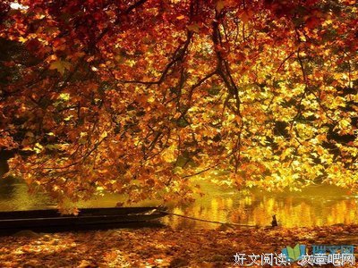 心情优美的句子