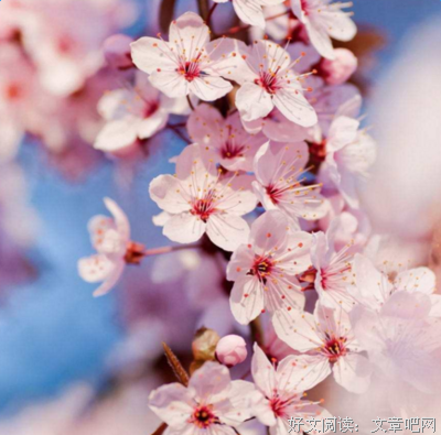 有关皆为美好的句子