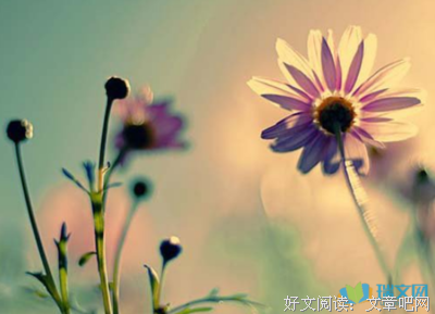 人生优美的句子