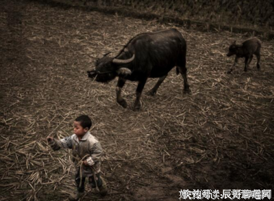 “妻子远嫁4000里，谁都可以欺负她。”
