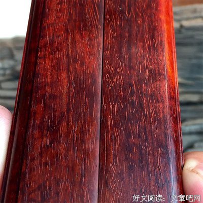 最全的叶紫的名言