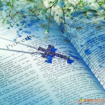 关于圣经的名句