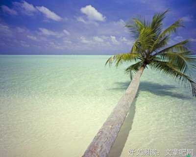 最新的《治蚁少帅空间》经典名句