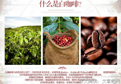 最新的《等一个人咖啡》好段摘抄大全
