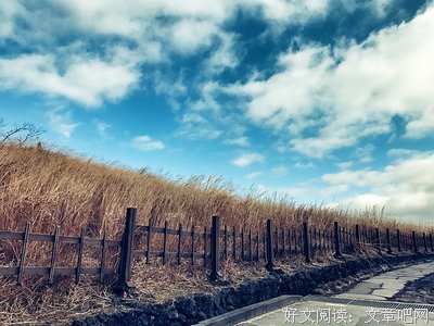 《重生之大涅磐》经典的句子大全