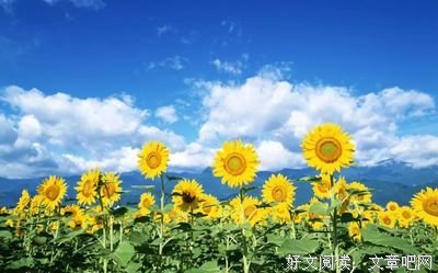 一辈子不长，什么最重要？句句在理