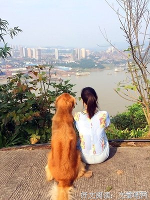 最新的《山河只为你喧嚣》经典的句子