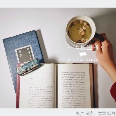 最经典的《红玫瑰与白玫瑰》小说书摘大全