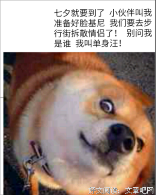 最经典的《芒果街上的小屋》经典名句
