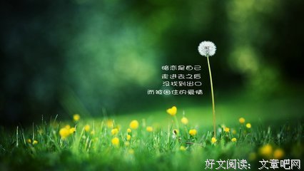 最新的《莫非这就是爱情》经典句子大全