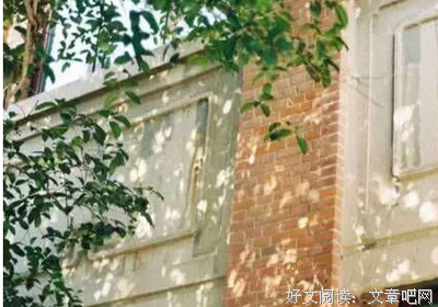 最全的《过于喧嚣的孤独》经典句子