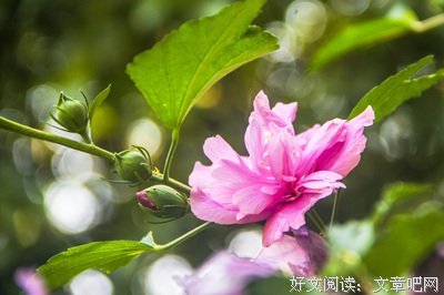 关于秋分的格言