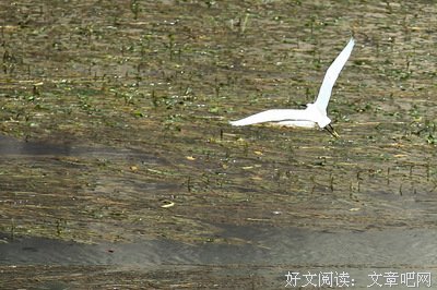 水镜的语句摘抄_关于水镜的语句