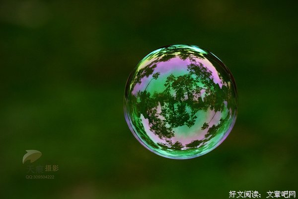 梦幻泡影的句子
