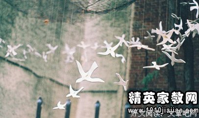 关于花年华的格言