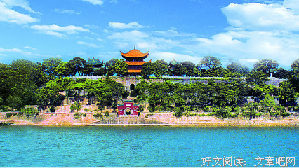 小松的名句_关于小松的名句