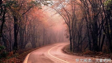 叔本华优美的句子